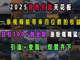 2025自热引流天花板，一条视频能带来四位数的收益，引流+变现双管齐下，日引500+创业粉，涨粉嘎嘎猛