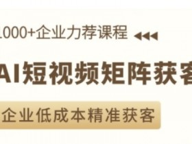 AI短视频矩阵获客实操课，企业低成本精准获客