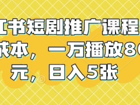 小红书短剧推广课程，0成本，一万播放80元，日入5张