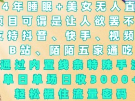 2024年睡眠+美女无人直播，通过内置线条特殊手法，单场日收3k+，轻松握住流量密码【揭秘】