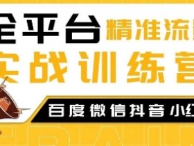 全平台精准流量实战训练营，百度微信抖音小红书SEO引流教程