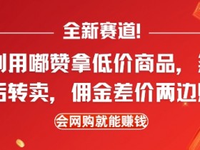 全新赛道，利用嘟赞拿低价商品，然后去闲鱼转卖佣金，差价两边赚，会网购就能挣钱