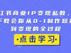 小红书商业IP变现私教，手把手教会你从0-1制作短视频到变现的全过程