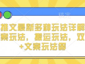 小说推文最新多种玩法详解，实况文案玩法，搬运玩法，双图片+文案玩法等
