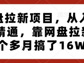 网盘拉新项目，从入门到精通，靠网盘拉新3个多月搞了16W