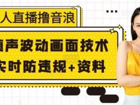 无人直播撸音浪+随声波动画面技术+实时防违规+资料【揭秘】