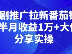 短剧推广拉新番茄锚点半月收益1万+大佬分享实操