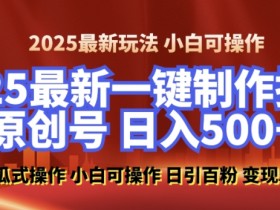 2025最新零基础制作100%过原创的美女抖音号，轻松日引百粉，后端转化日入5张