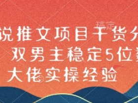 小说推文项目干货分享，双男主稳定5位数大佬实操经验
