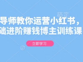 金牌导师教你运营小红书，0基础进阶赚钱博主训练课
