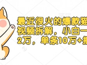 最近很火的爆款猫咪做饭视频拆解，小白一周涨粉2万，单条10万+播放(附保姆级教程)
