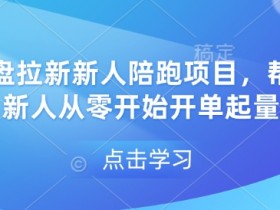 网盘拉新新人陪跑项目，帮助新人从零开始开单起量