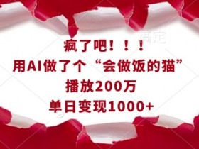 疯了吧！用AI做了个“会做饭的猫”，播放200万，单日变现1k