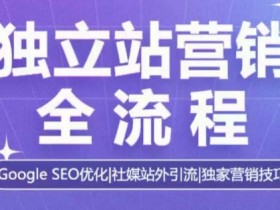 独立站营销全流程，Google SEO优化，社媒站外引流，独家营销技巧