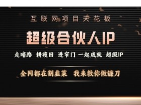 互联网项目天花板，超级合伙人IP，全网都在割韭菜，我来教你做镰刀【仅揭秘】