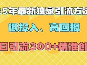 2025年最新独家引流方法，低投入高回报？当日引流300+精准创业粉