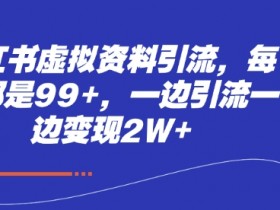 小红书虚拟资料引流，每天都是99+，一边引流一边变现2W+
