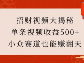 招财视频大揭秘：单条视频收益500+，小众赛道也能挣翻天!