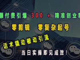 小额付费引爆 300 + 精准创业粉，零剪辑、零复杂起号，话术撬动被动引流，当日实操即见成效