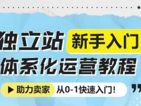 独立站新手入门体系化运营教程，助力独立站卖家从0-1快速入门!