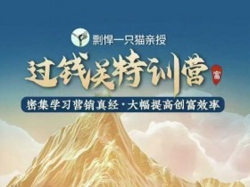 剽悍一只猫-过钱关特训营，学习营销真经 大幅度提高创富效率