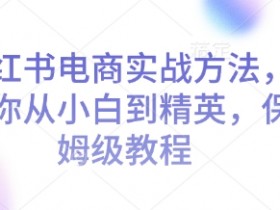 小红书电商实战方法，让你从小白到精英，保姆级教程