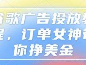 谷歌广告投放教程，订单女神带你挣美金