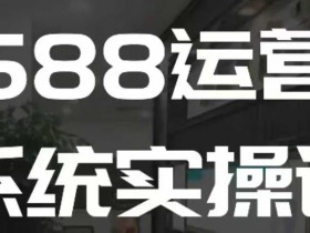 1688高阶运营系统实操课，快速掌握1688店铺运营的核心玩法