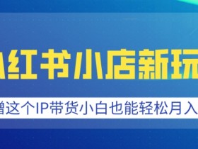 小红书小店新玩法，蹭这个IP带货，小白也能轻松月入过W【揭秘】