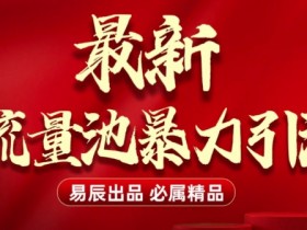 最新“流量池”无门槛暴力引流(全网首发)日引500+