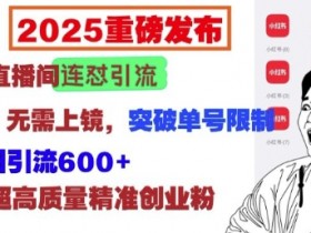 2025重磅发布：小红书直播间连怼引流，无需连麦、无需上镜，突破单号限制，暴力日引流600+