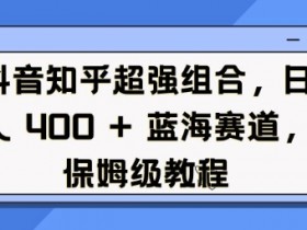 抖音知乎超强组合，日入4张， 蓝海赛道，保姆级教程