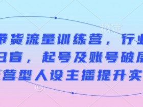 直播带货流量训练营，行业基础术语扫盲，起号及账号破层级，运营型人设主播提升实战