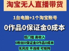 淘宝无人直播带货项目，纯无人自动运行，一台电脑，无需看管，开播即变现，低门槛 高收入