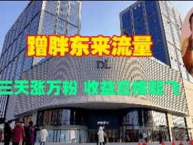 蹭胖东来流量，三天涨万粉，收益直接起飞