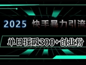 2025年快手6.0保姆级教程震撼来袭，单日狂吸300+精准创业粉