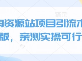 小淘资源站项目引流术终极版，亲测实操可行的