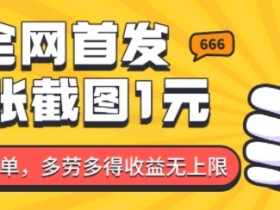 全网首发，一张截图1块钱，一分钟一单，多劳多得，收益无上限