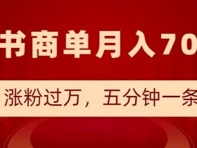 小红书商单最新玩法，半个月涨粉过万，五分钟一条笔记，月入7000+