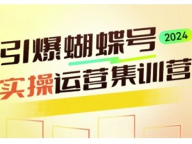 引爆蝴蝶号实操运营，助力你深度掌握蝴蝶号运营，实现高效实操，开启流量变现之路