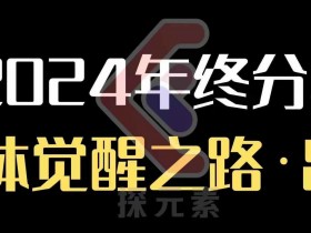 个人事业行动营，​2024年终分享个体觉醒之路