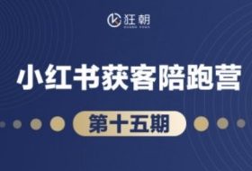 抖音小红书视频号短视频带货与直播变现(11-18期),打造爆款内容，实现高效变现（更新）