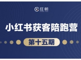 抖音小红书视频号短视频带货与直播变现(11-15期),打造爆款内容，实现高效变现