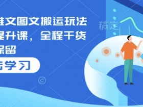 小说推文图文搬运玩法变现提升课，全程干货毫无保留
