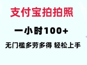 支付宝拍拍照一小时100+无任何门槛多劳多得一台手机轻松操做【揭秘】