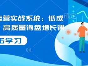国际站运营实战系统：低成本获客，高质量询盘增长课