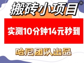 搬砖小项目，实测10分钟14元秒到，每天稳定几张(赠送必看稳定)