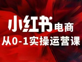小红书电商运营，97节小红书vip内部课，带你实现小红书赚钱