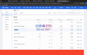 幕思城·淘宝培训VIP课程（更新6月）