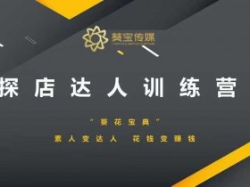 探店达人训练营，素人变达人，花钱变赚钱